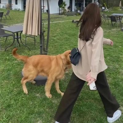 震精游戏